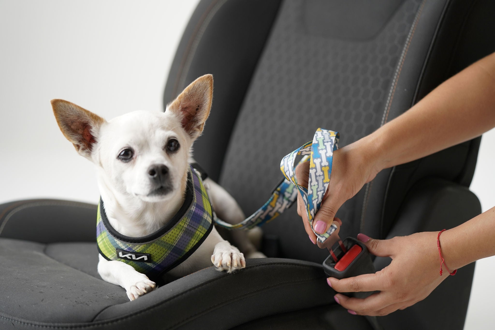 AccesoriosKiaPet